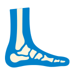 foot and ankle specialists